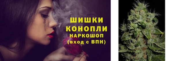 винт Аркадак