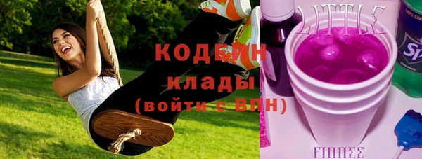 шишки Алексин
