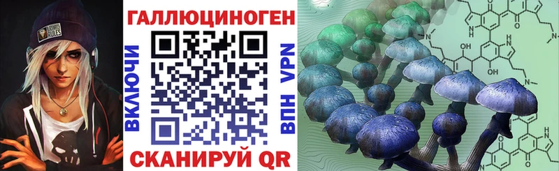 Галлюциногенные грибы мицелий  ссылка на мегу tor  Волгоград  магазин  наркотиков 